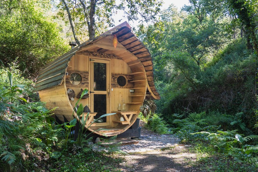 The owl-shaped barrel sauna among ferns and oaks